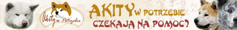 awp_banner3