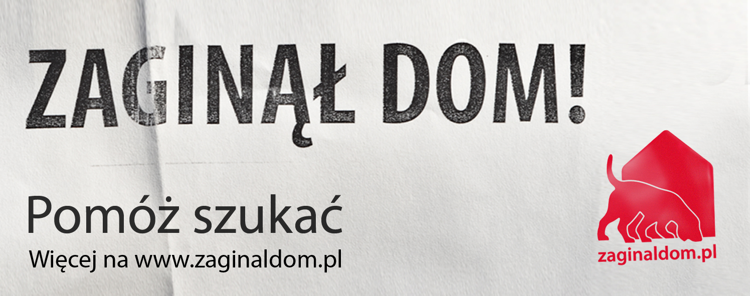 baner.zaginaldom