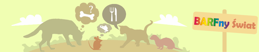 forumix_header