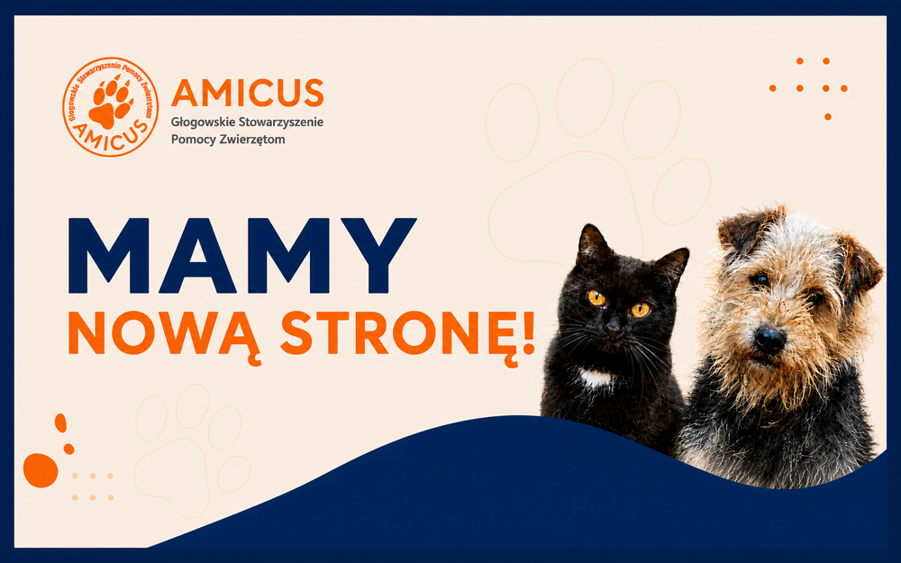 Nowa strona Amicusa!